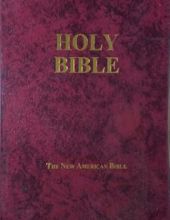 THE NEW AMERICAN BIBLE